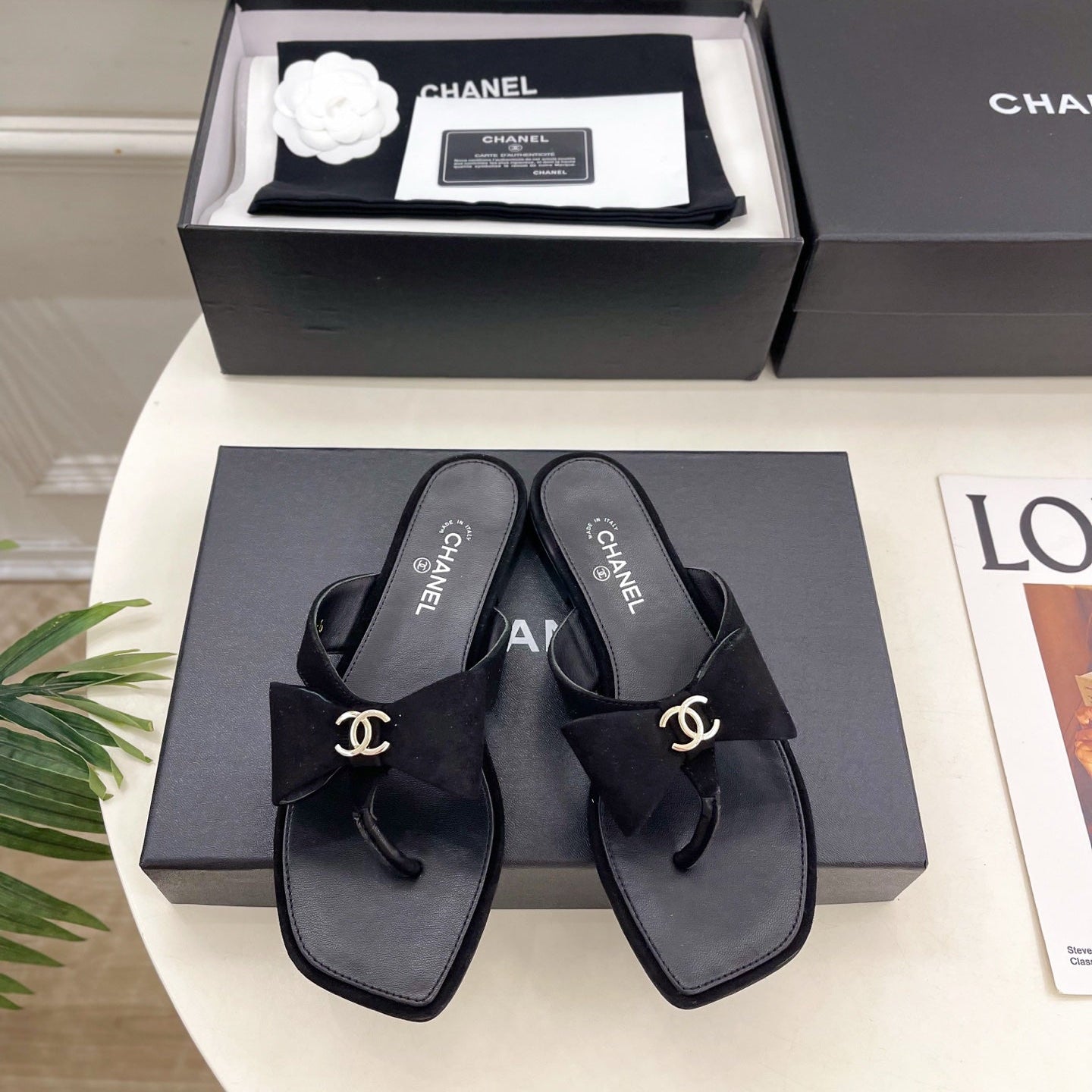 CC Bow Thong Flat Sandals Black Suede 891774