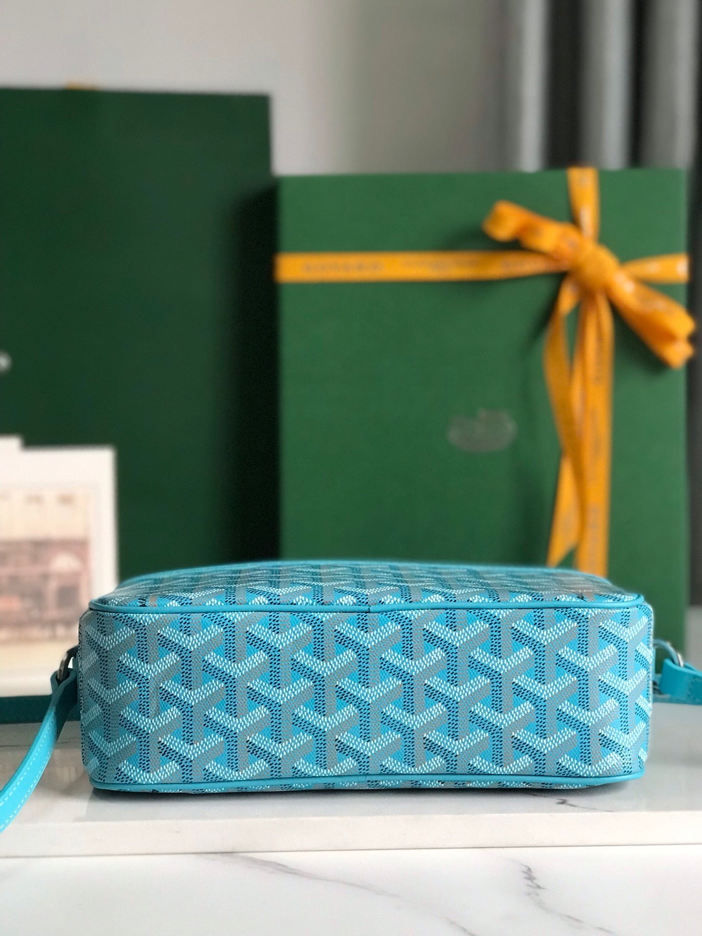 Goyard Cap-Vert Camera Bag Light Blue Calfskin Canvas 290861