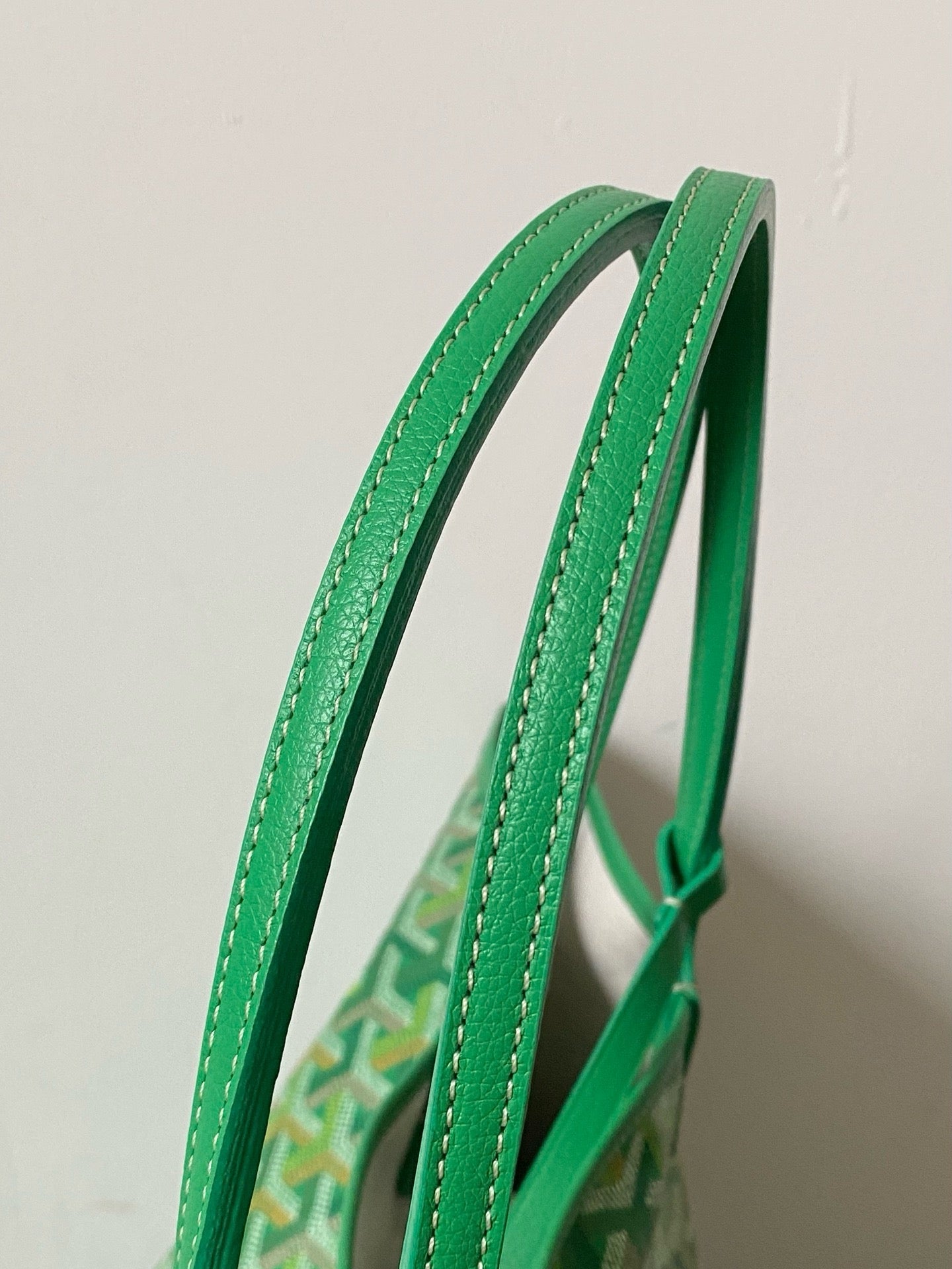 Goyard 26s Saint Louis Bag Vibrant Green Goyardine Canvas