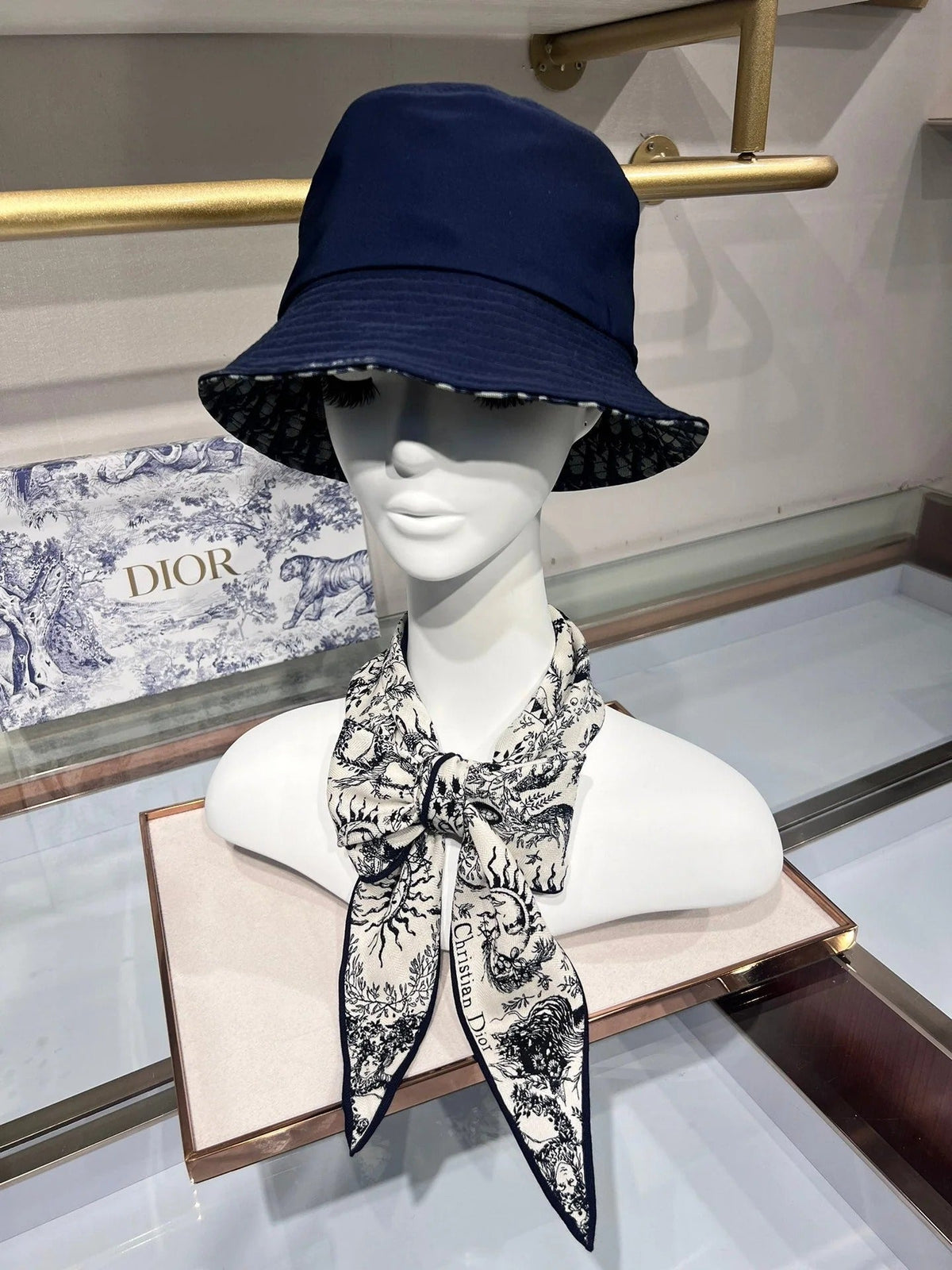 Dior 2026 Toile De Jouy Scarf 140cm Velvet 188566