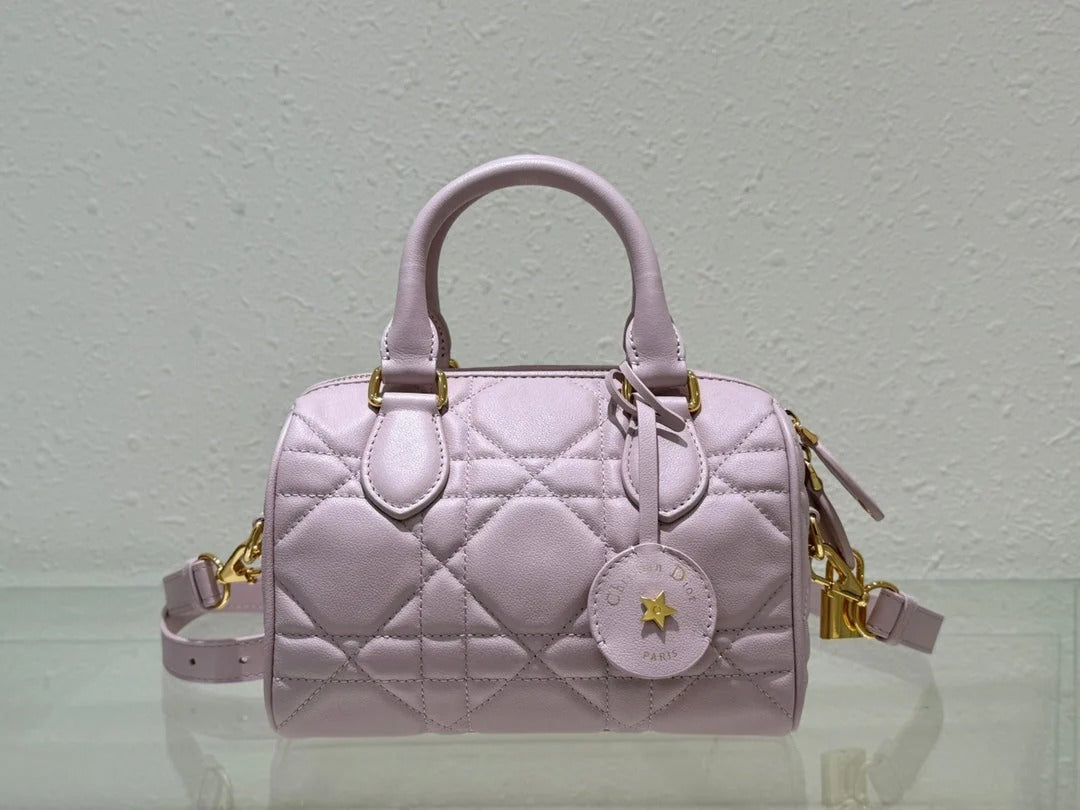 Dior 2026 Groove Bag Pink Calfskin Gold Hardware