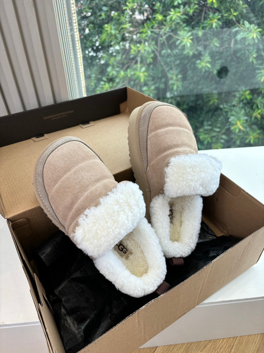 UGG Australian Shepherd Theia Platform Warm Taupe Wool Suede 525937