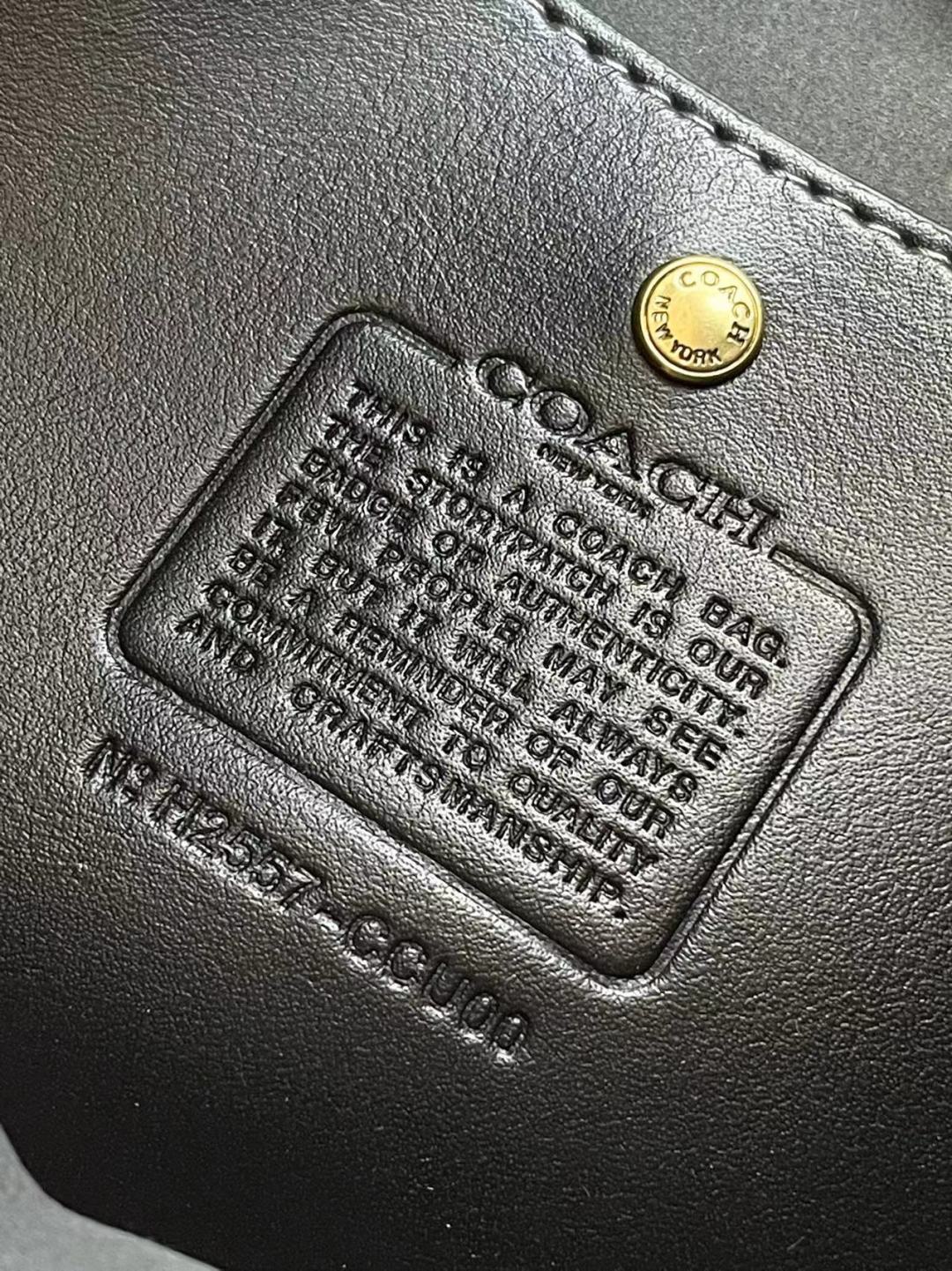 Coach Brooklyn Shoulder Bag 34cm Black Calfskin