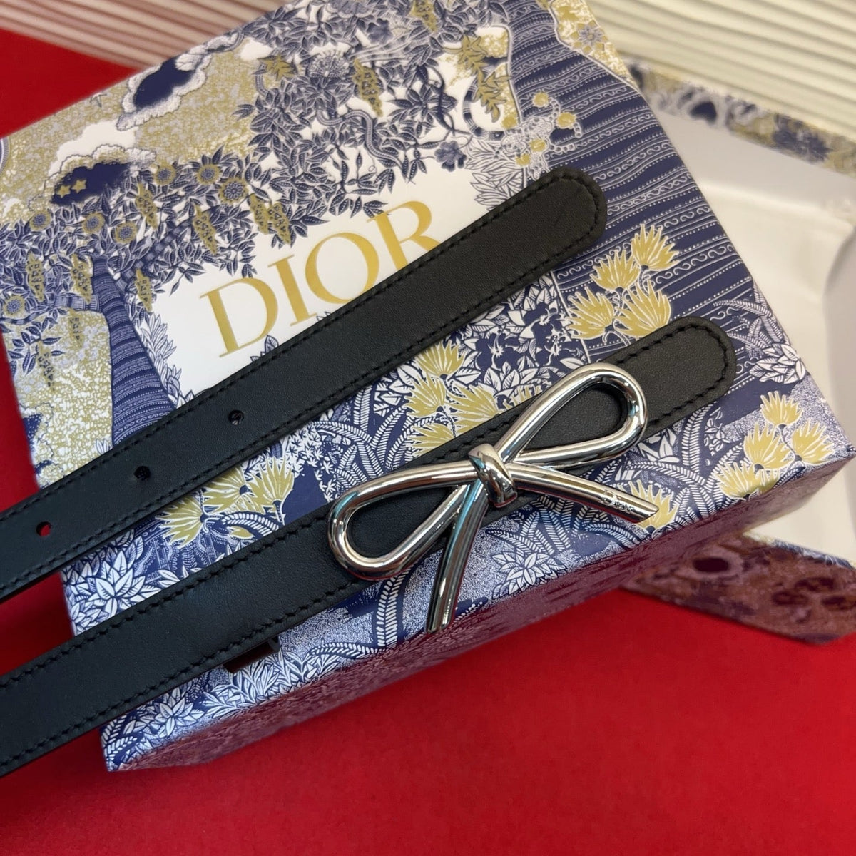 Dior 2026 Le Nœud De Silver Buckle Belt 20mm Calfskin