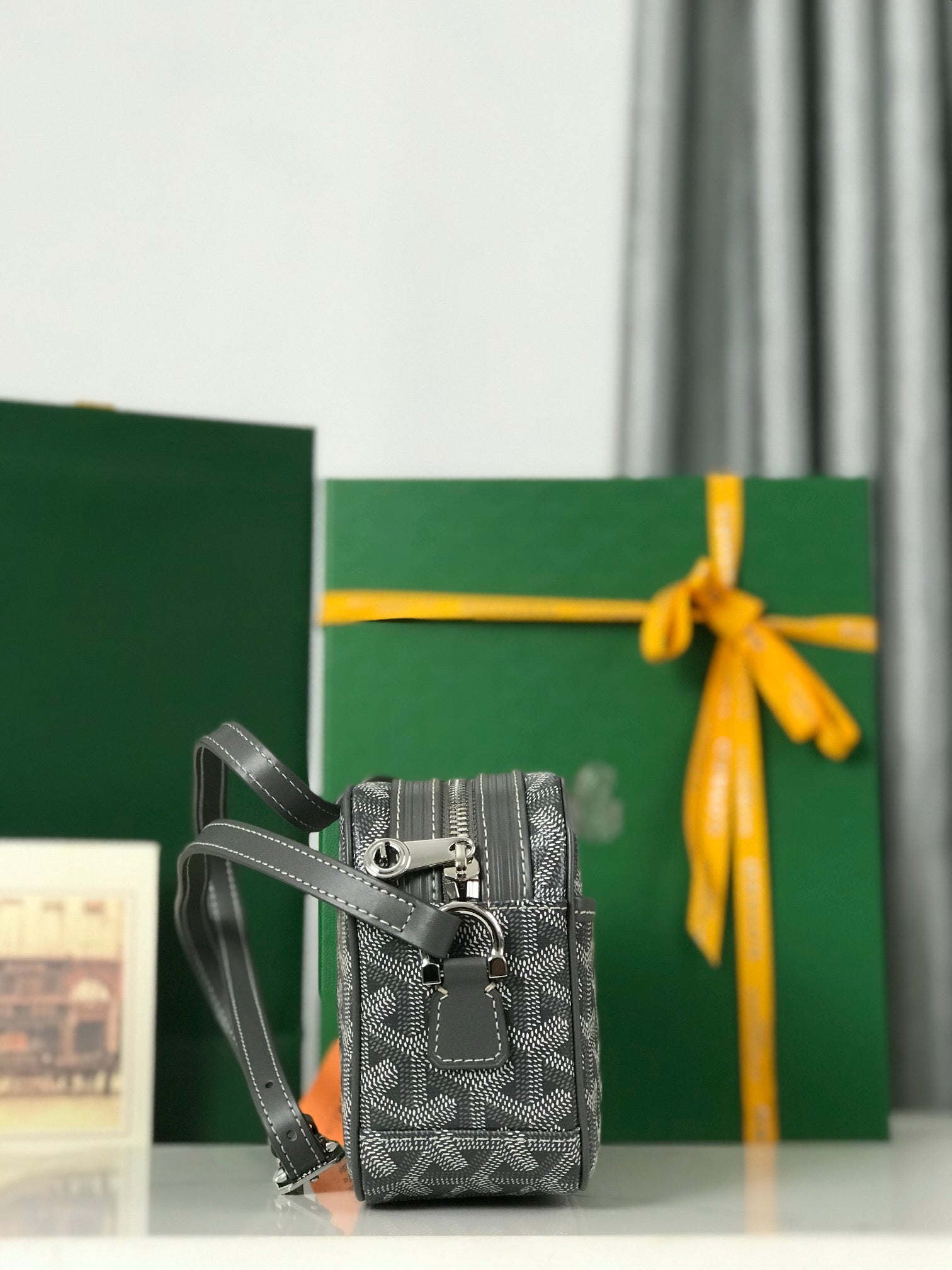 Goyard Cap-Vert Camera Bag Grey Calfskin Canvas 290855