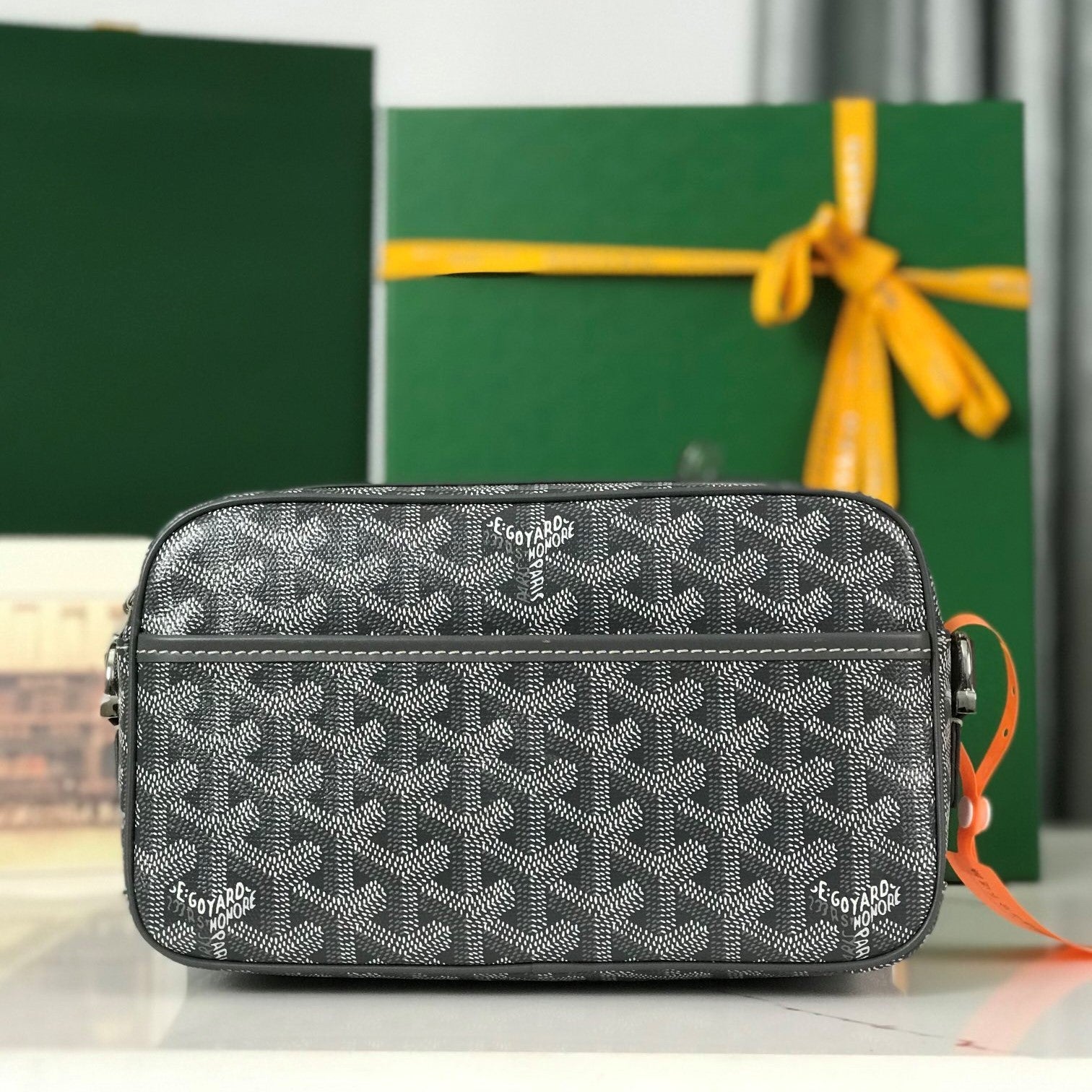 Goyard Cap-Vert Camera Bag Grey Calfskin Canvas 290855