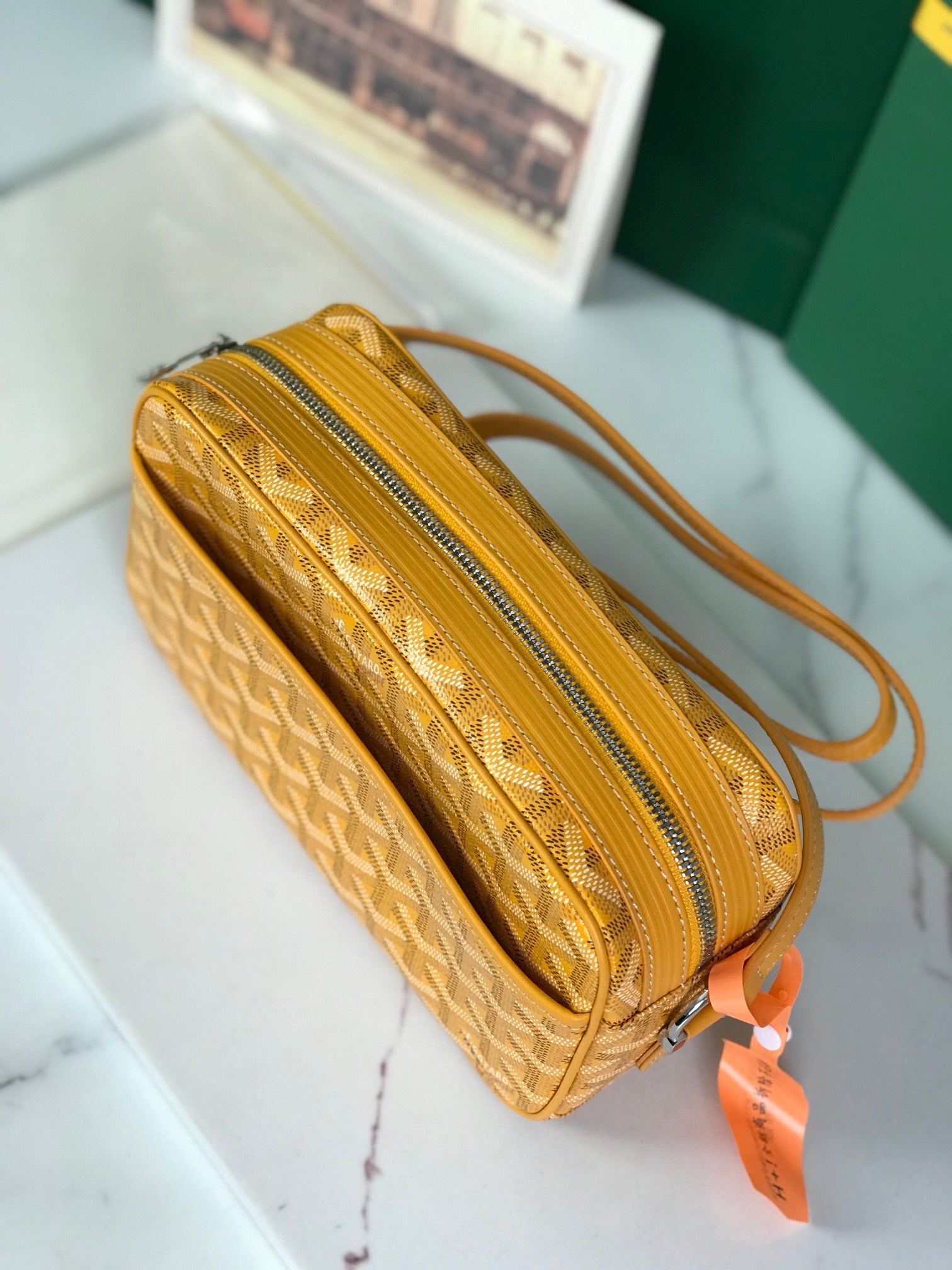 Goyard Cap-Vert Camera Bag Yellow Calfskin Canvas 290860