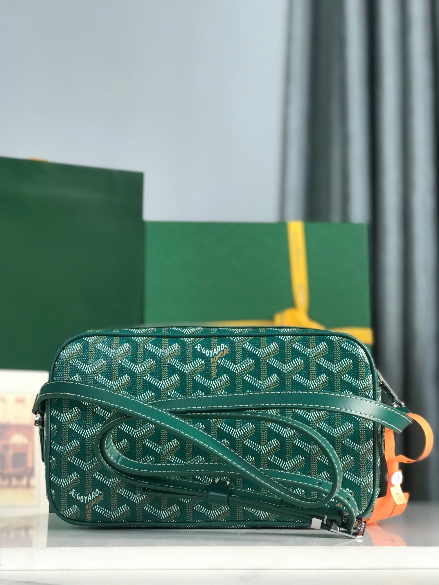 Goyard Cap-Vert Camera Bag Teal Green Calfskin Canvas 290858