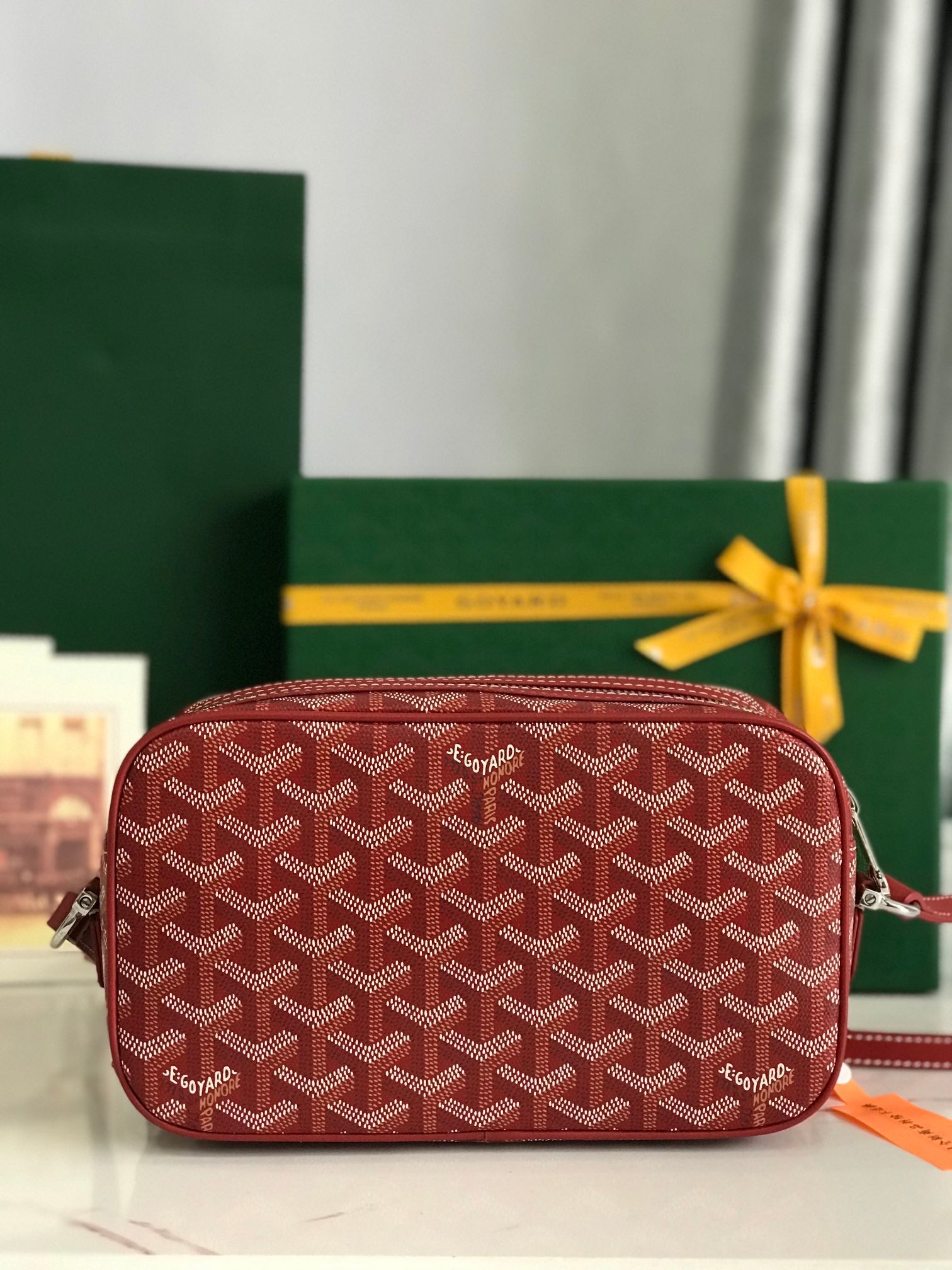 Goyard Cap-Vert Camera Bag Red Calfskin Canvas 290856
