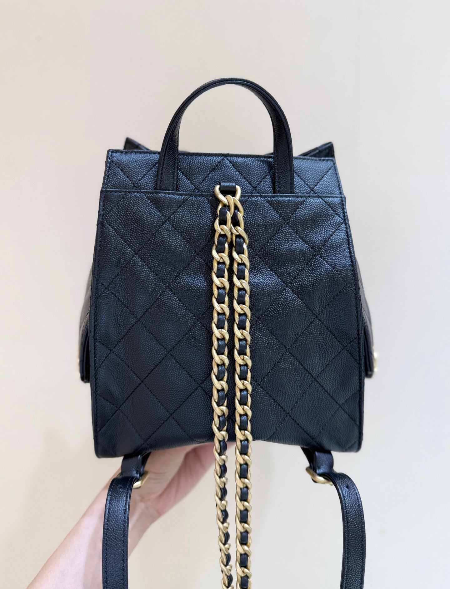 CC 25B backpack bag 23cm black calfskin 342108