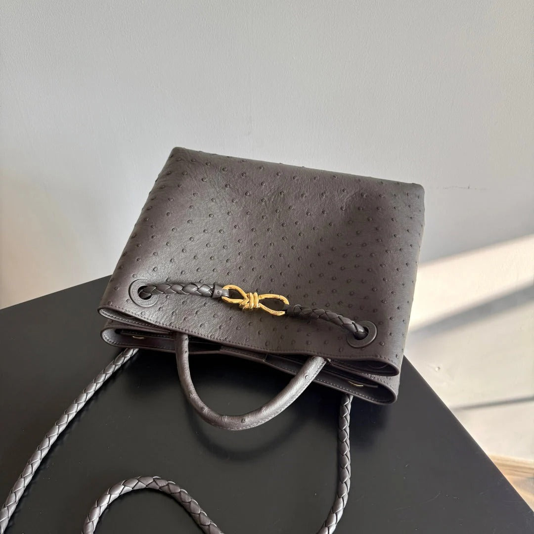Bottega Veneta 2026 Andiamo Bag Dark Brown Ostrich Leather