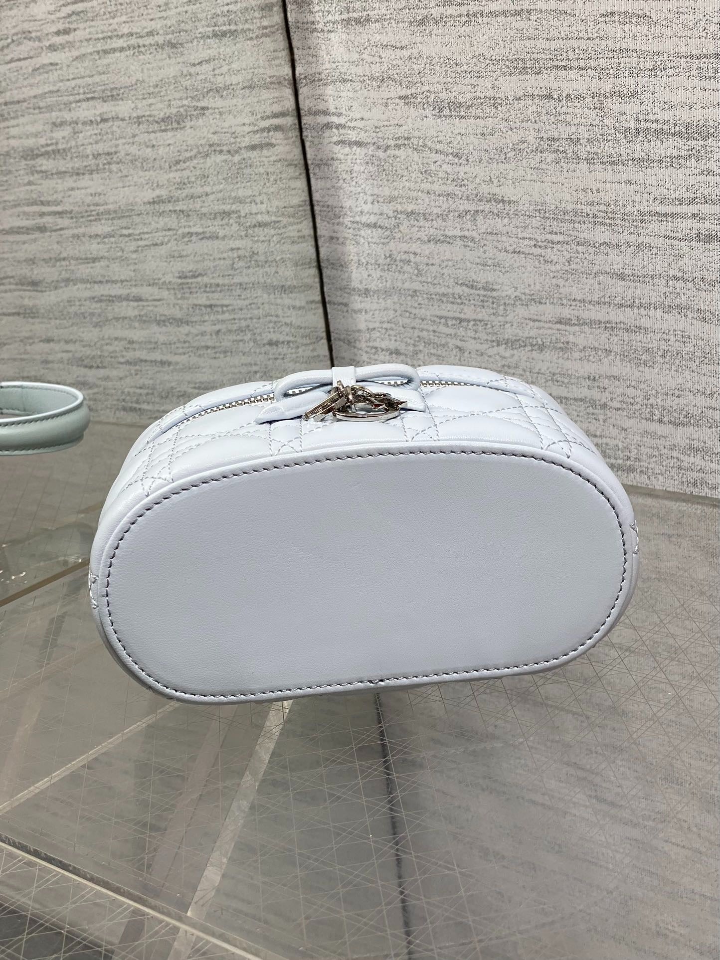 CD 2026 Vanity Bag 17.5cm Cannage Lambskin 289248