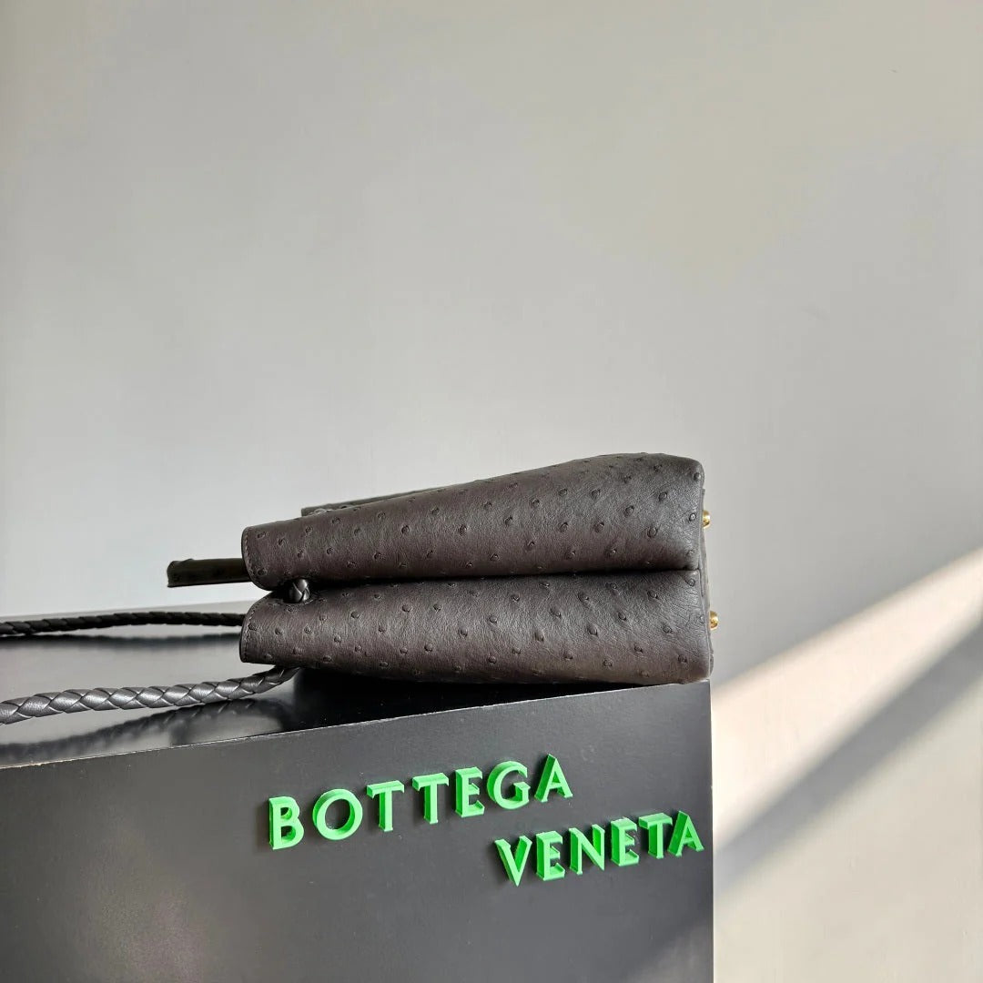 Bottega Veneta 2026 Andiamo Bag Dark Brown Ostrich Leather