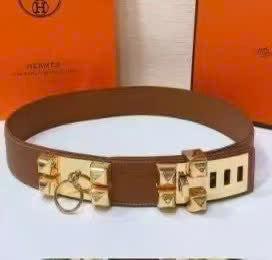 collier de chien belt 45mm red epsom gold buckle
