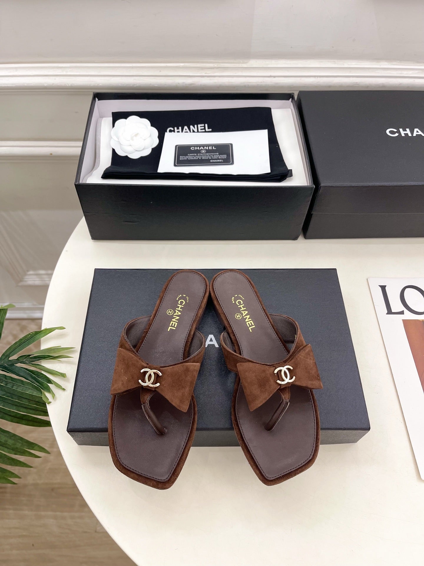 CC Bow Thong Flat Sandals Dark Brown Suede 891776