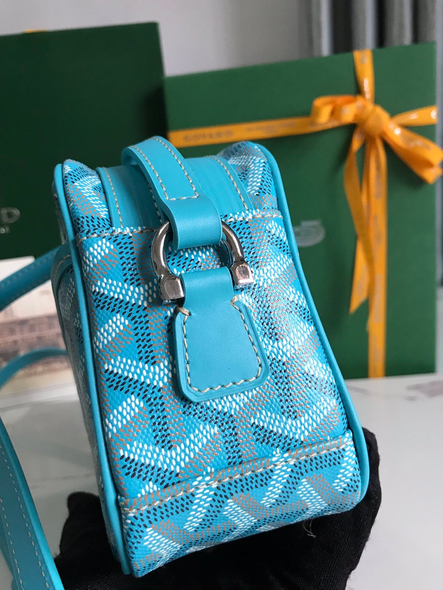 Goyard Cap-Vert Camera Bag Light Blue Calfskin Canvas 290861