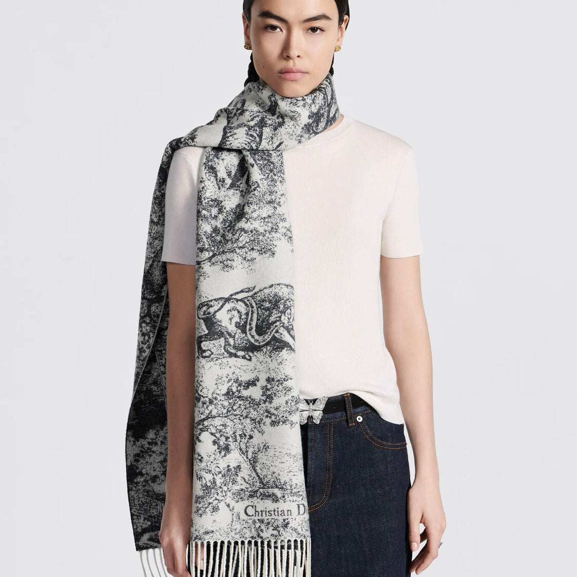 Dior 26s Scarf 200cm In Cashmere 123457