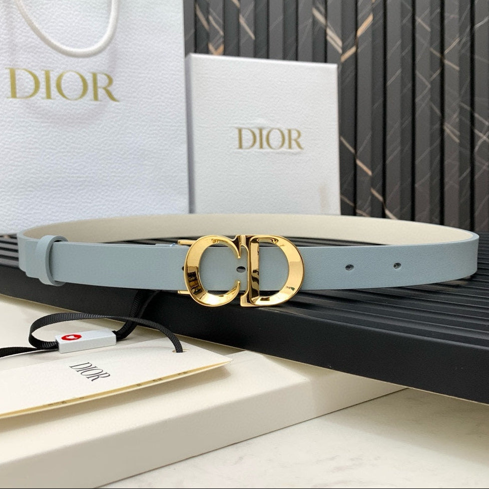 Dior 2026 Saddle Belt 25mm Calfskin