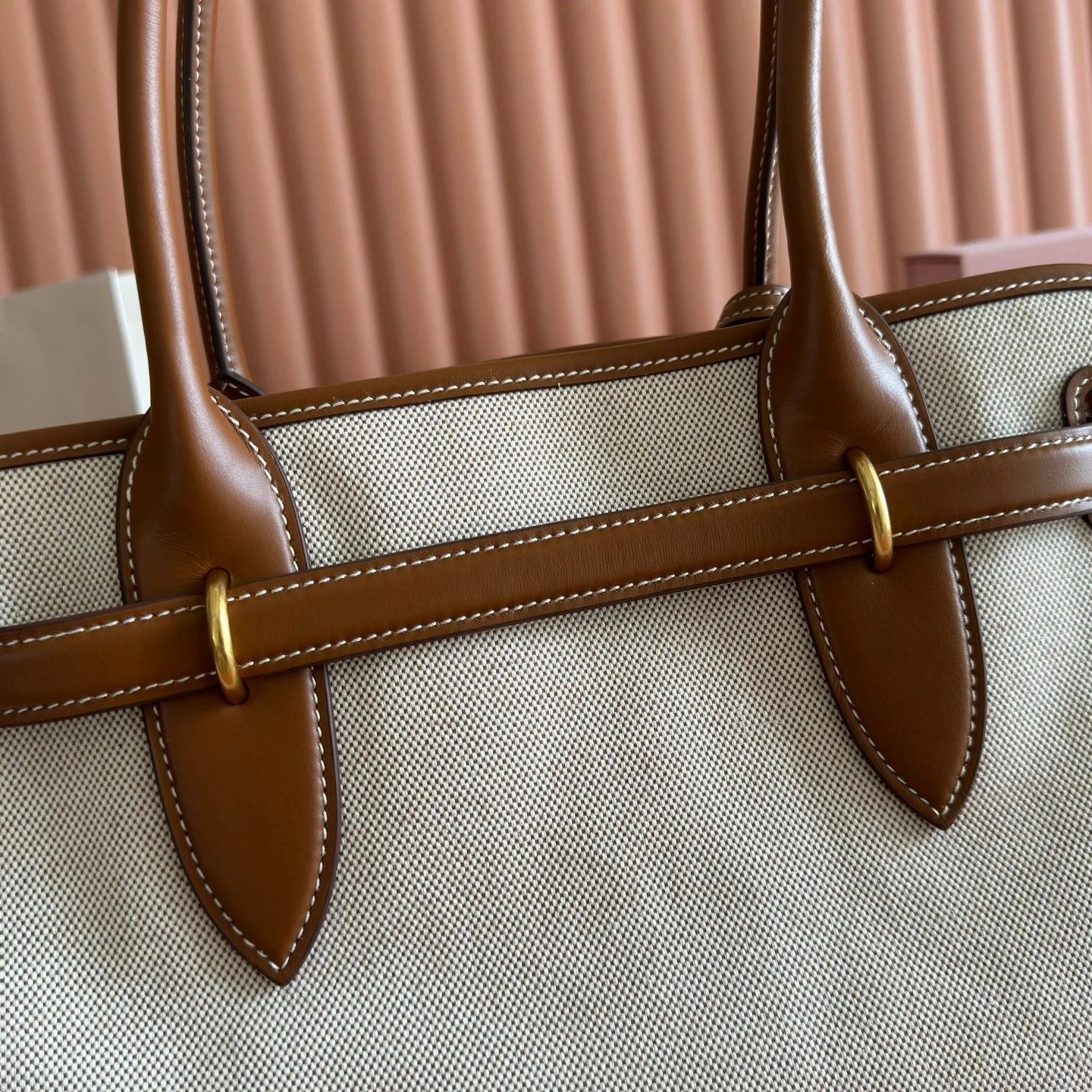 Miu Miu Aventure Handbag 44 Beige in Canvas 285306