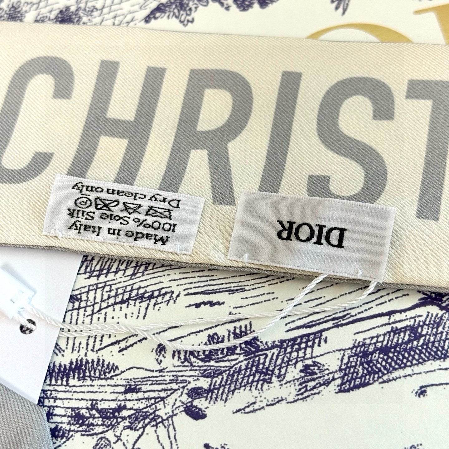 Dior 26s Scarf 100cm In Silk 313135