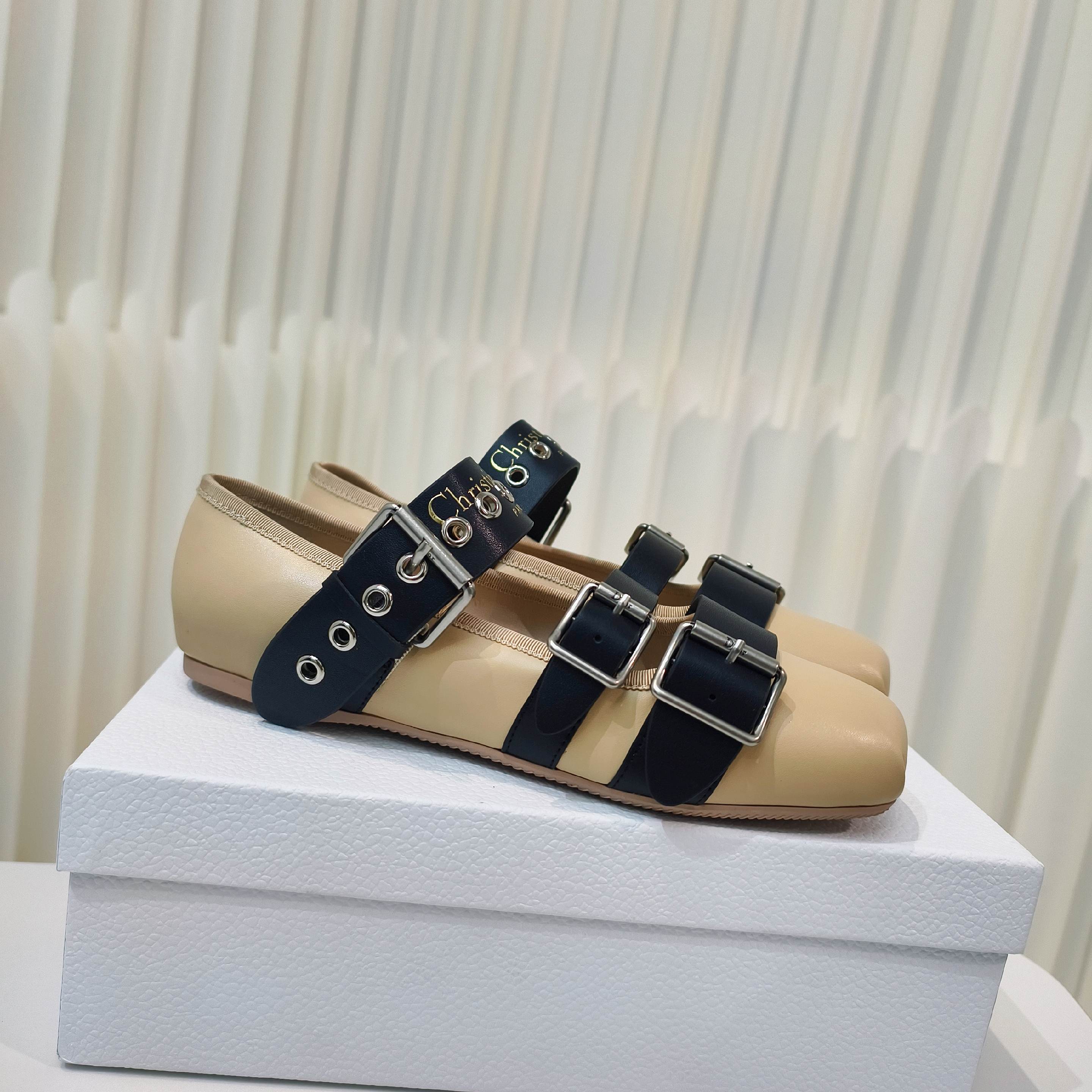 CD 25 Punk Ballet Flat Calfskin and Suede 237991