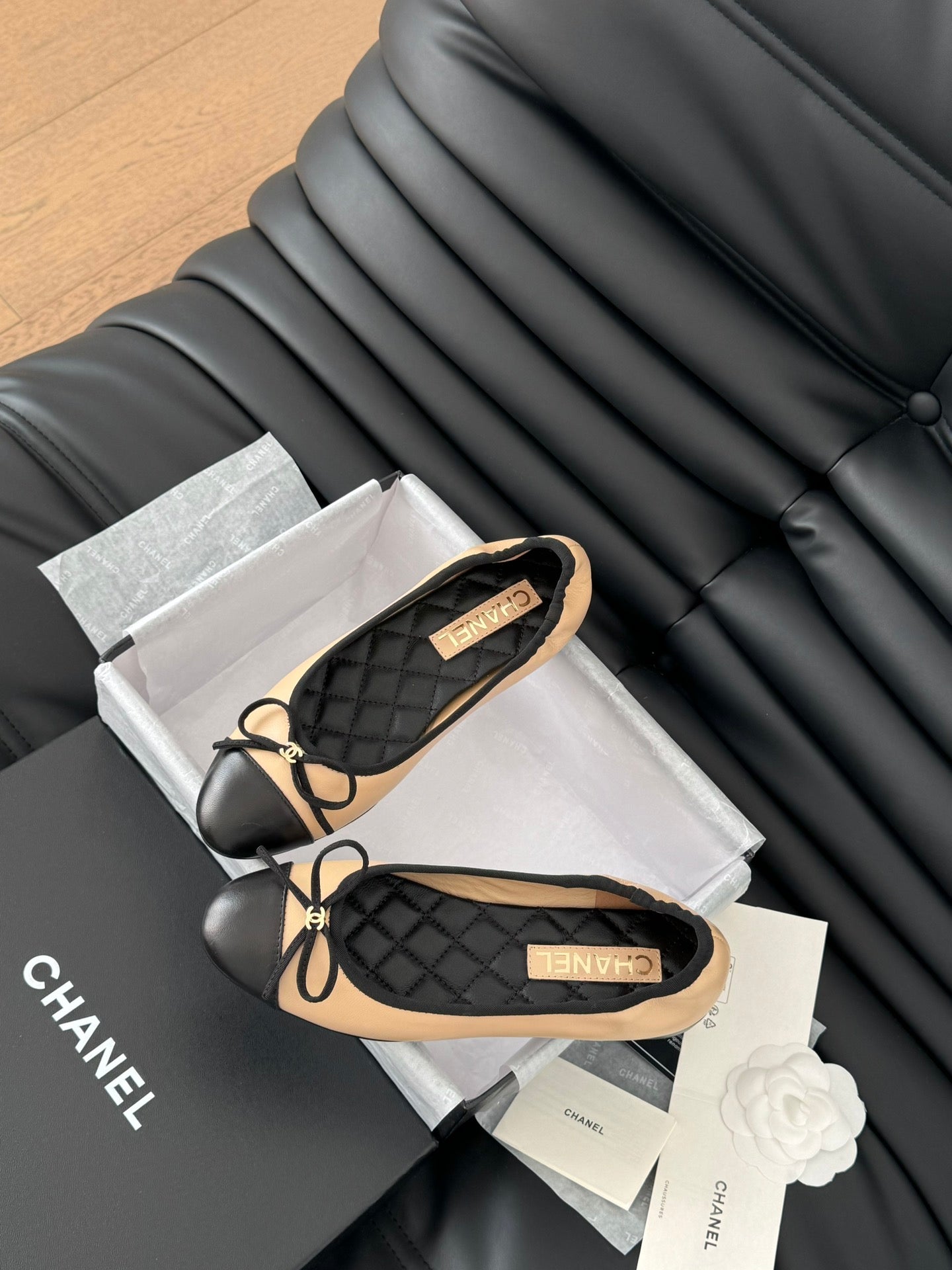 CC Ballet Flats In Beige Lambskin 143538