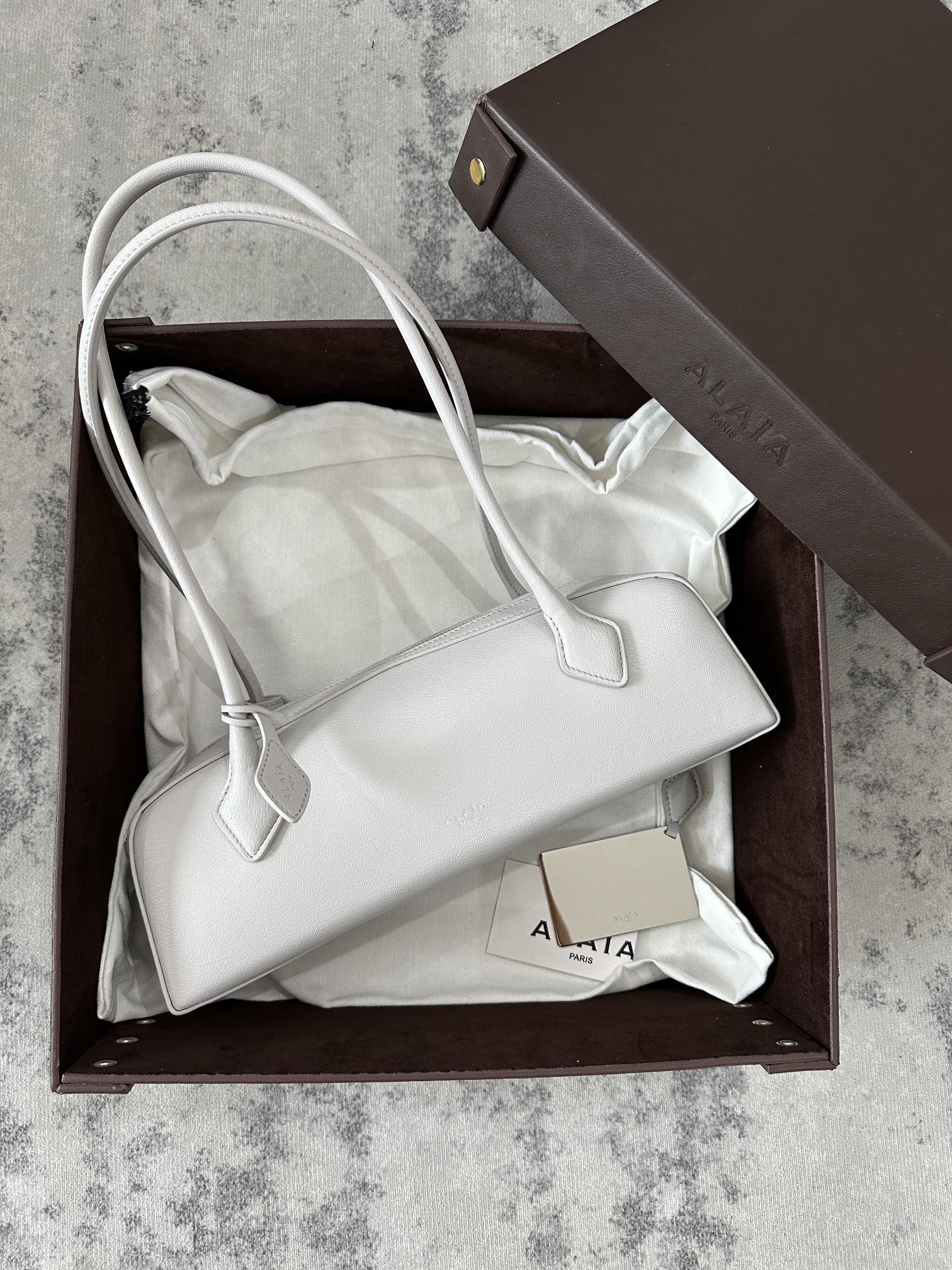 LE TECKEL MEDIUM BAG 32 IN PLATINUM GOATSKIN