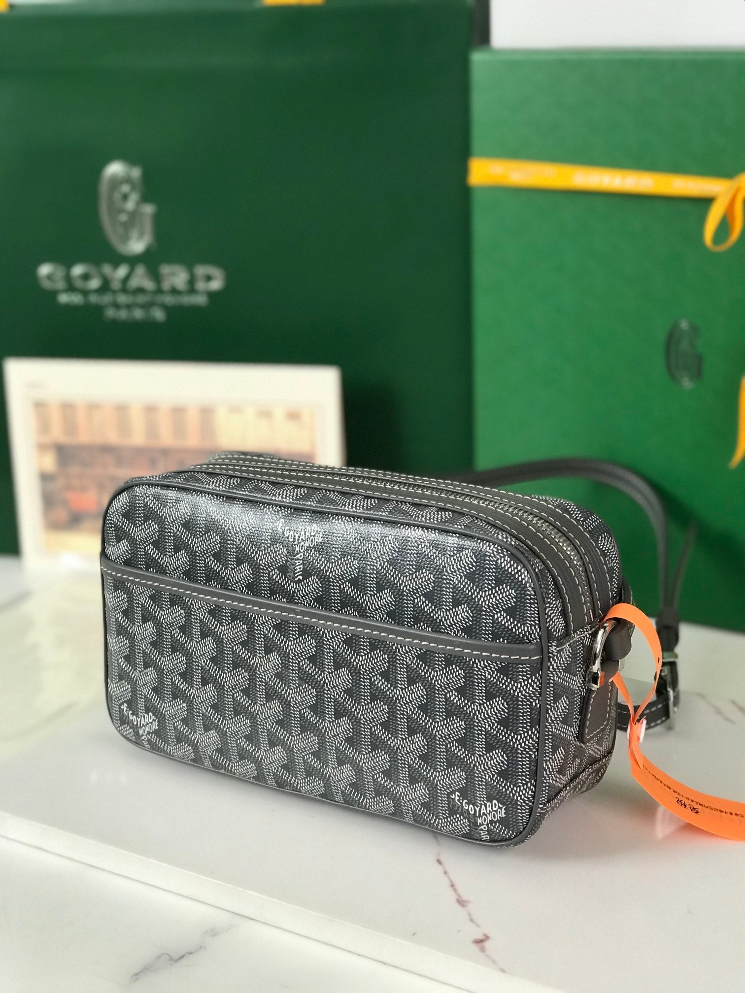 Goyard Cap-Vert Camera Bag Grey Calfskin Canvas 290855