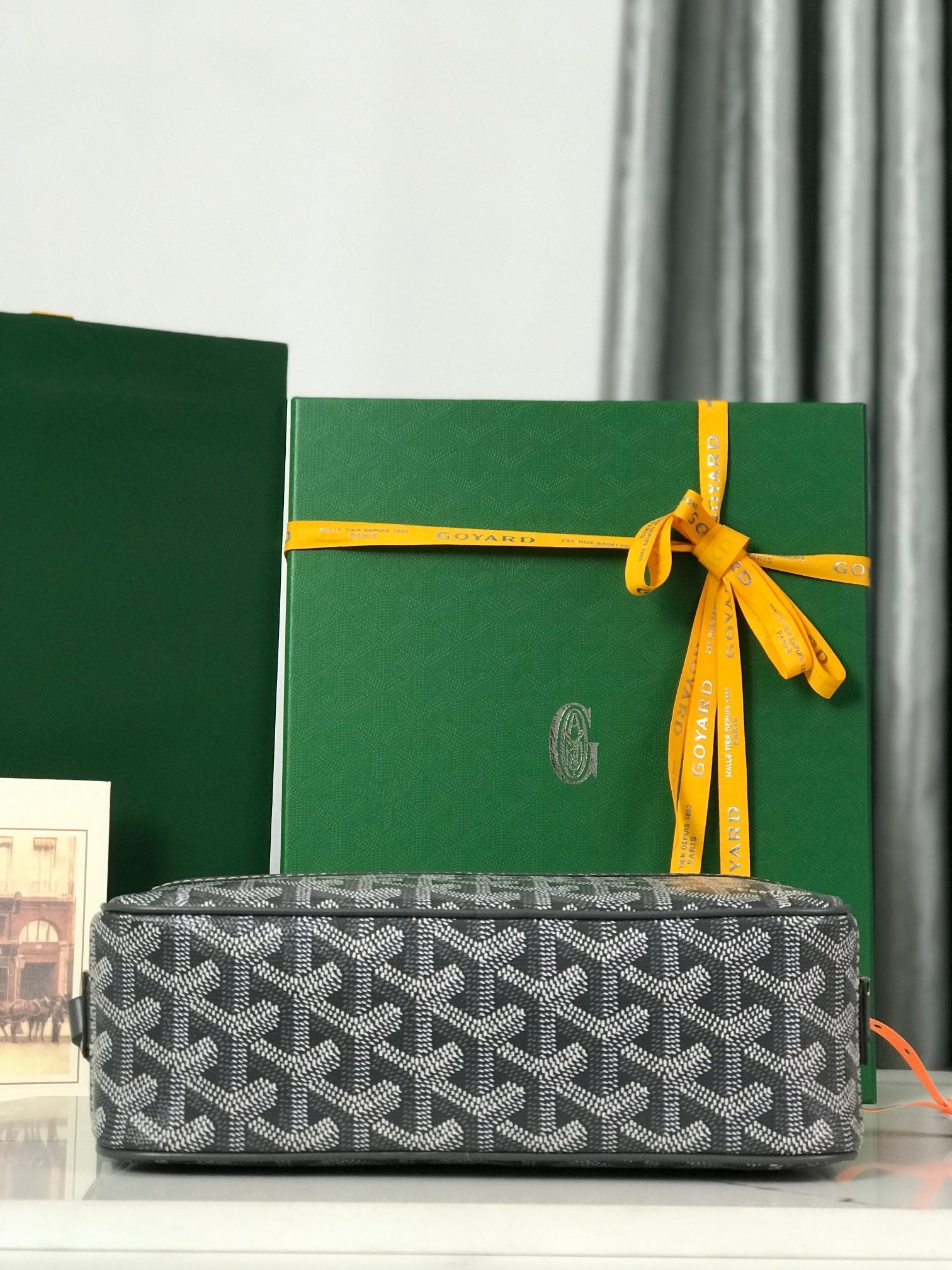 Goyard Cap-Vert Camera Bag Grey Calfskin Canvas 290855