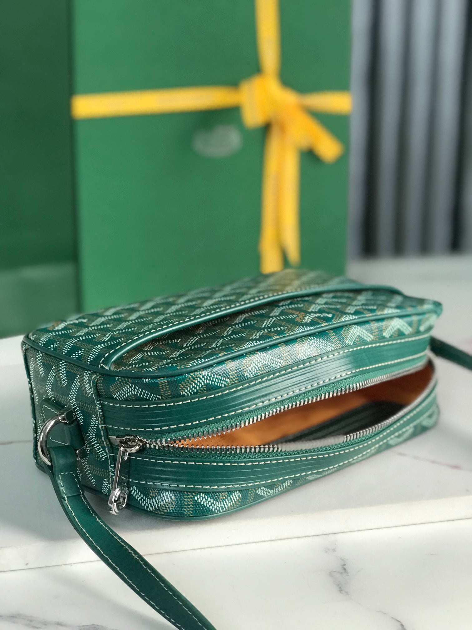 Goyard Cap-Vert Camera Bag Teal Green Calfskin Canvas 290858