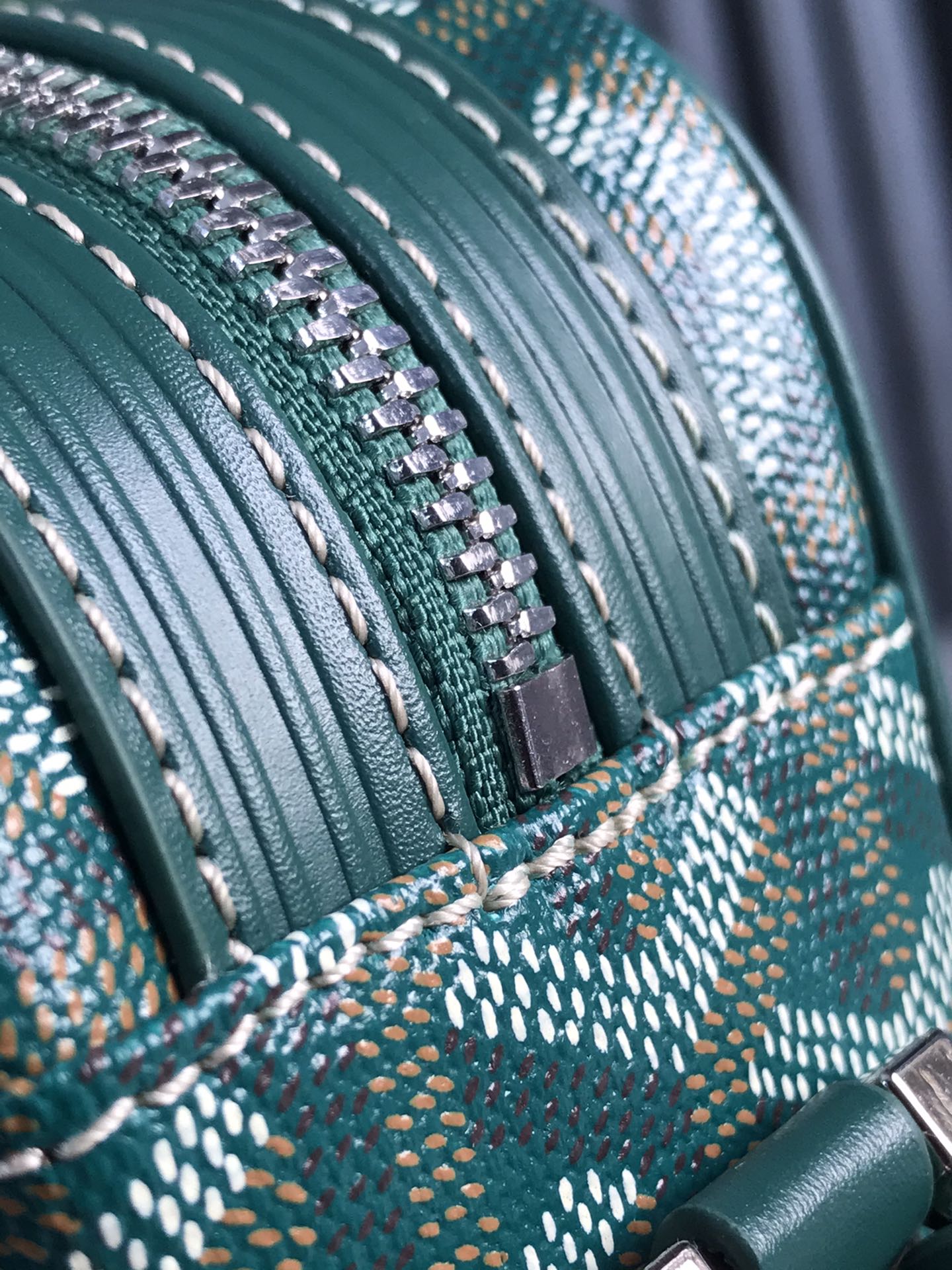Goyard Cap-Vert Camera Bag Teal Green Calfskin Canvas 290858