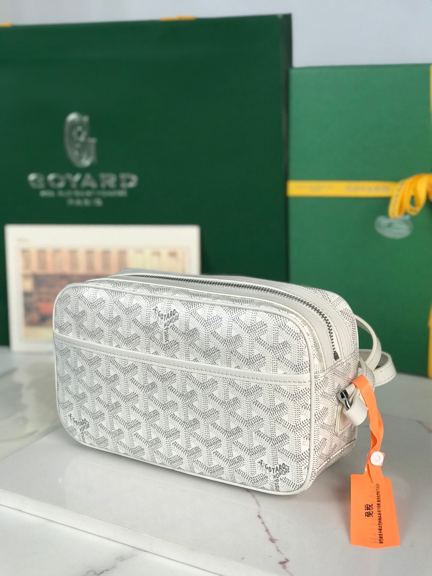 Goyard Cap-Vert Camera Bag White Calfskin Canvas 290851
