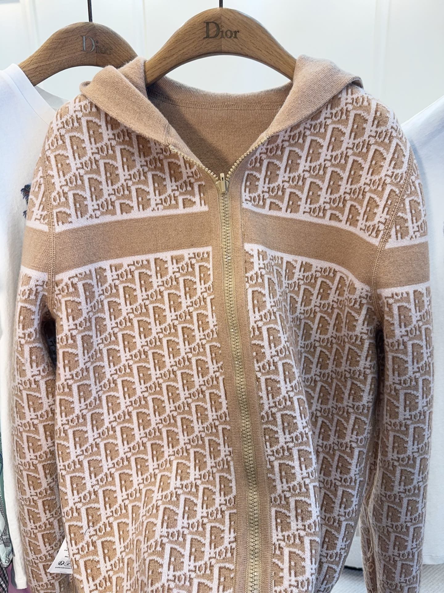 CD 25 Hooded Jacket Nude Beige 2 Sides Cashmere