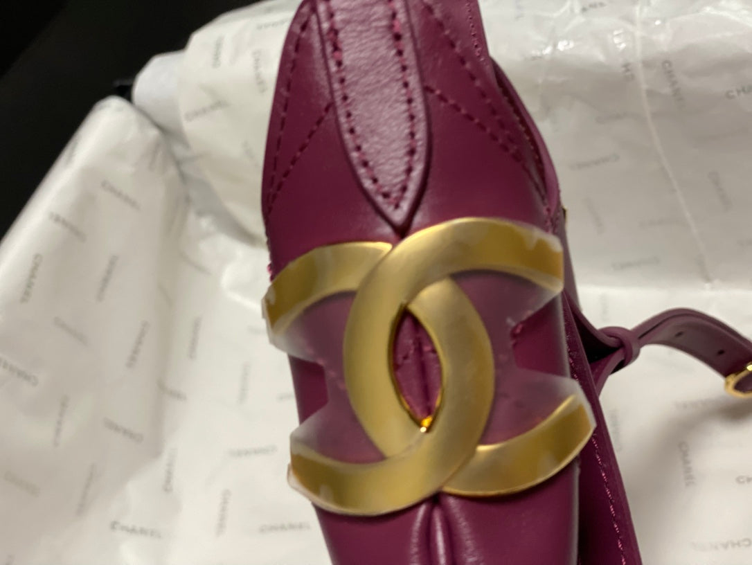 Chanel 2026 Hobo Bag AS6479 Purple Pink Lambskin Leather