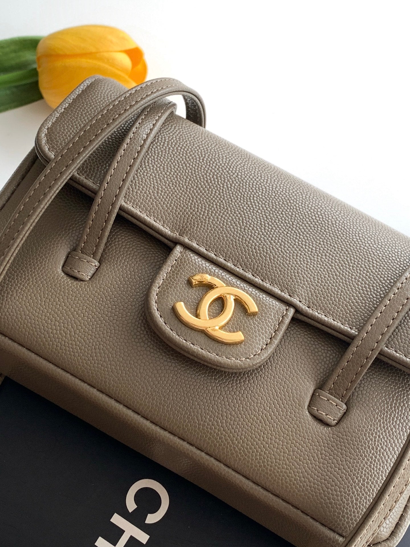 CC 2026 Preppy Coco Bag 17cm Taupe Caviar Leather Gold Hardware