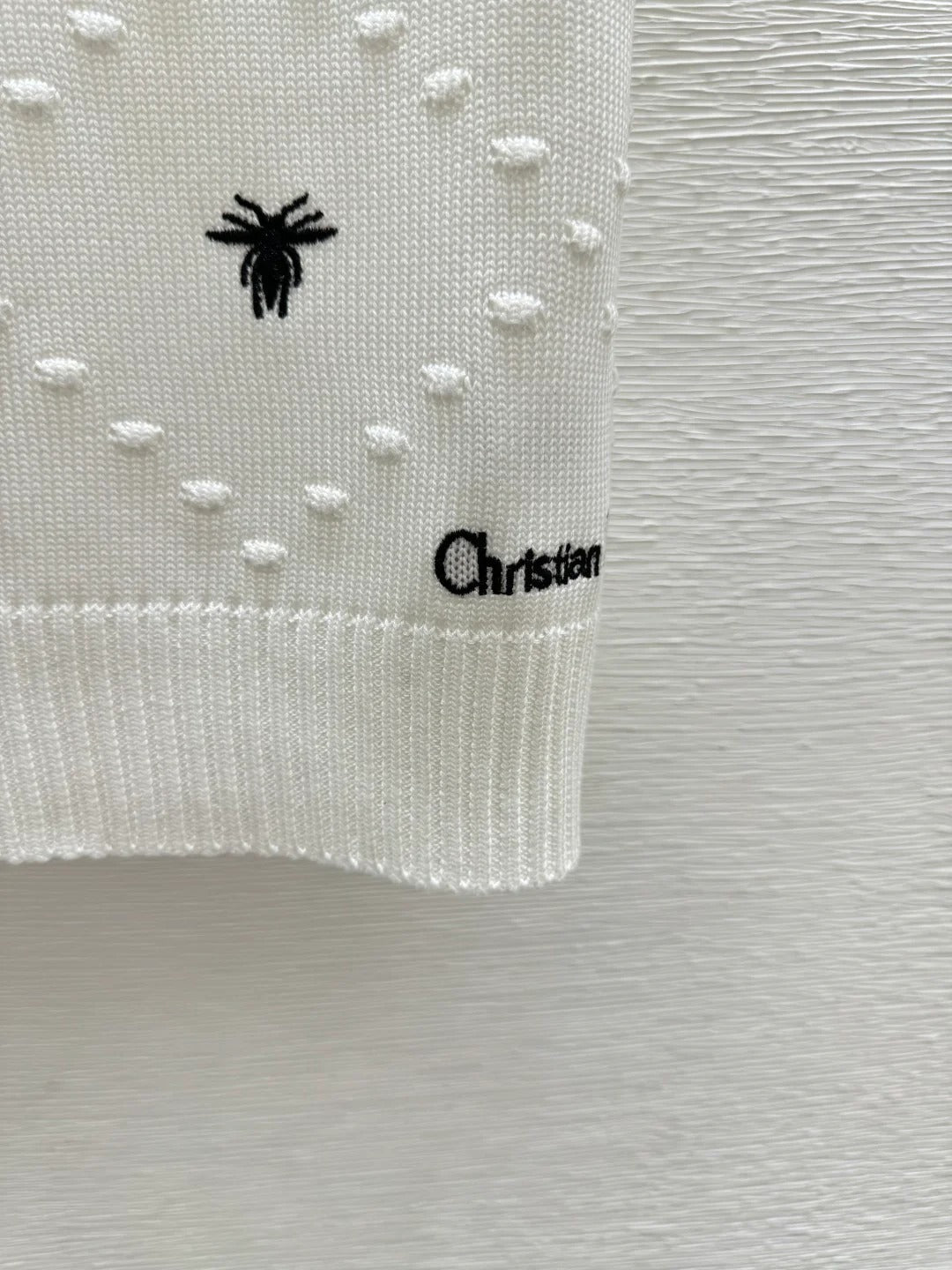 Dior 2026 Bee Round Neck Knitted Short Sleeve T-shirt Blue and White Wool
