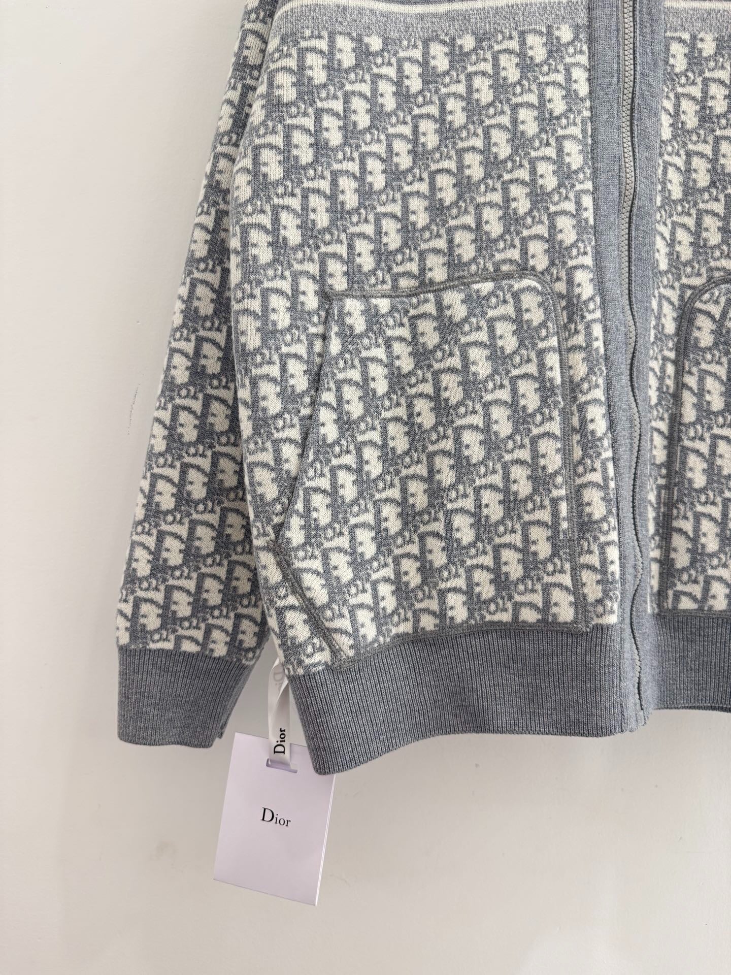 DIOR 25S ZIP-UP HOODIE 510