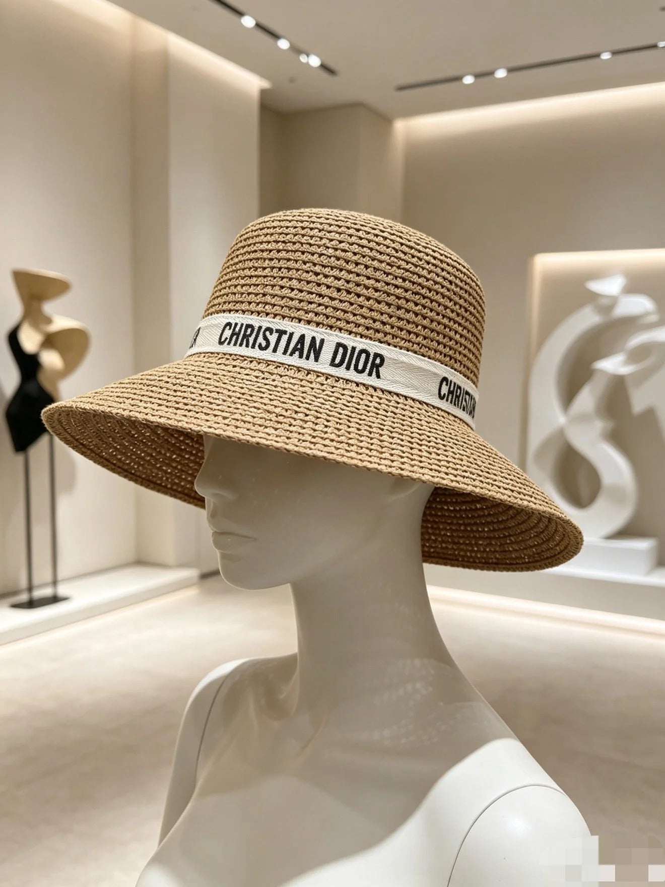 Dior Wide Brim Straw Hat 280801