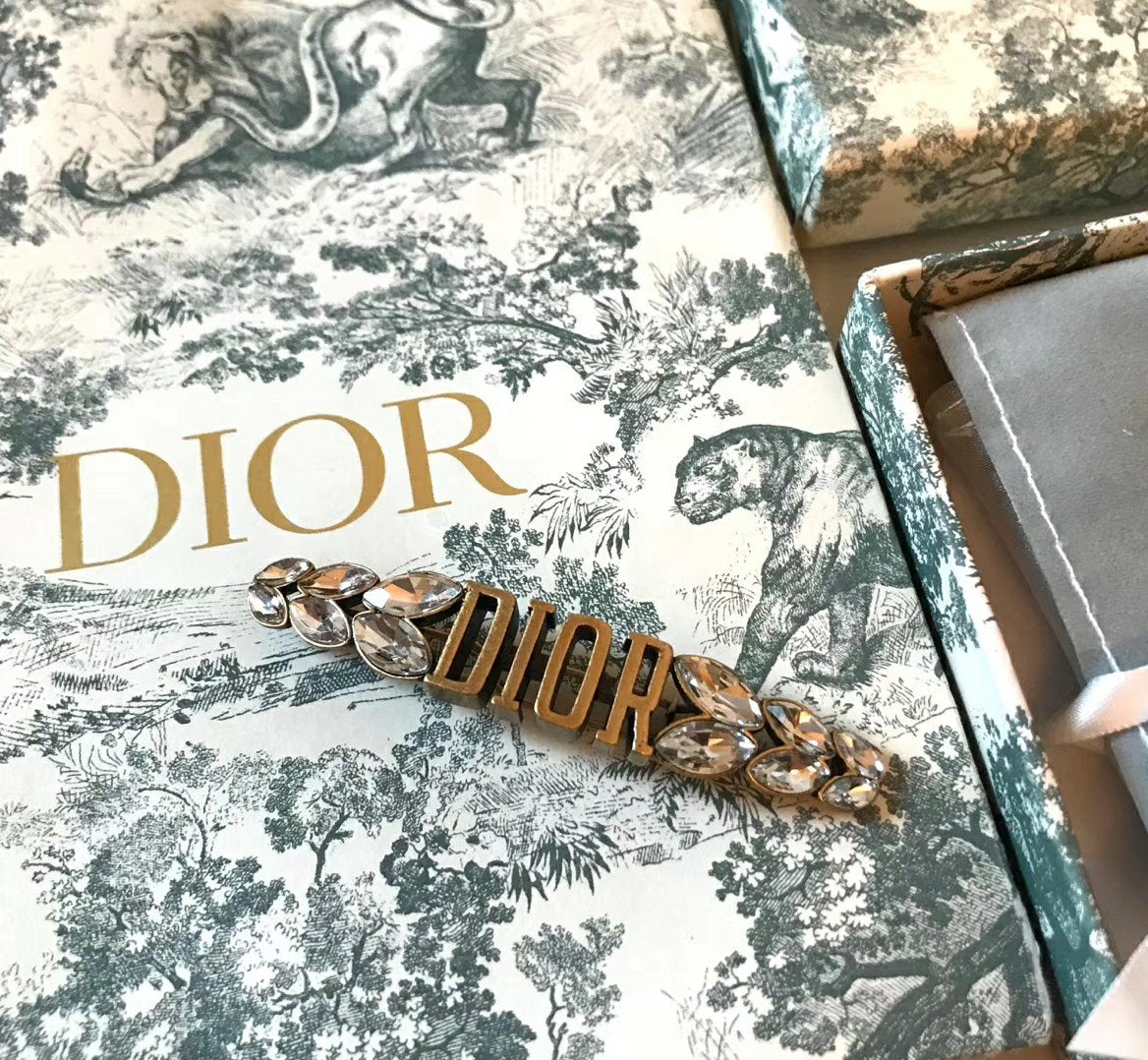 CD Brooch 01